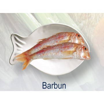 Taze Balık - İri Keserbaş Barbun ( Barbunya Balığı )